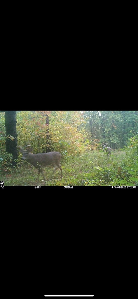 00 Sullivan Road Fremont, MI 49412 - Photo 29 of 32