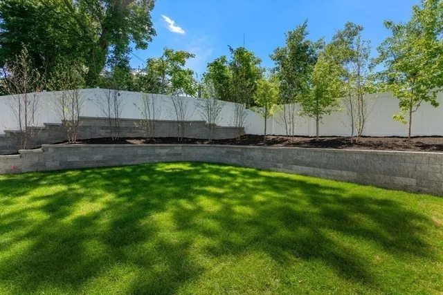 a view of a back yard