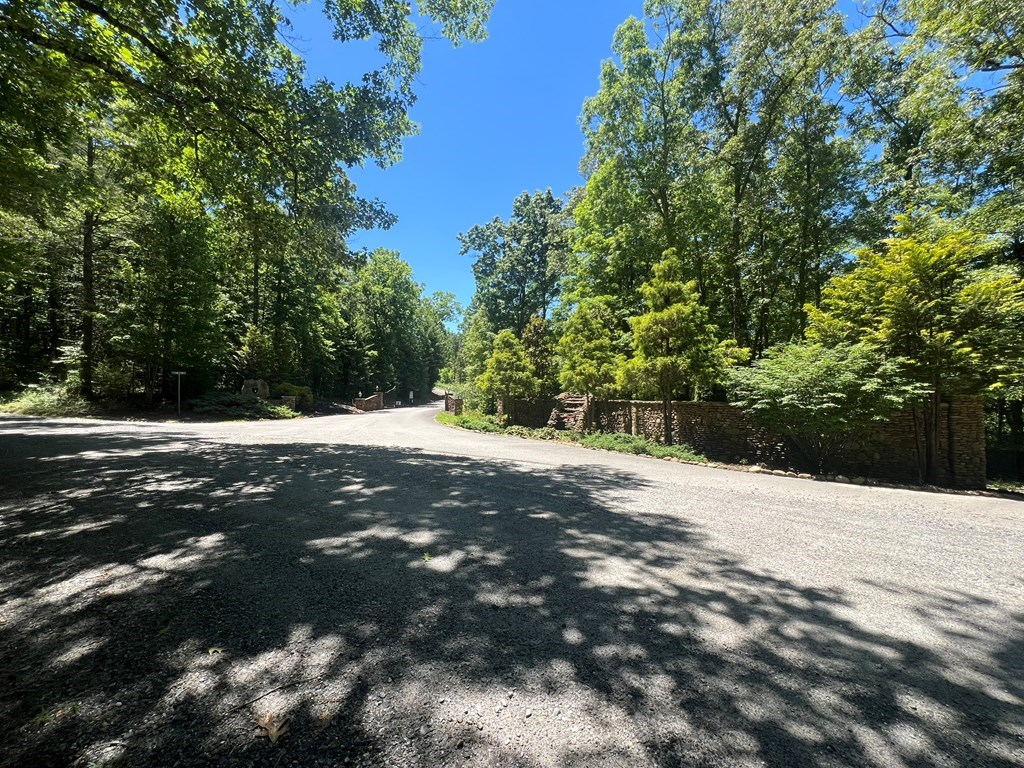 0 Paw Paw Trail Murphy, NC 28906 - Photo 2 of 8 a view of road with trees