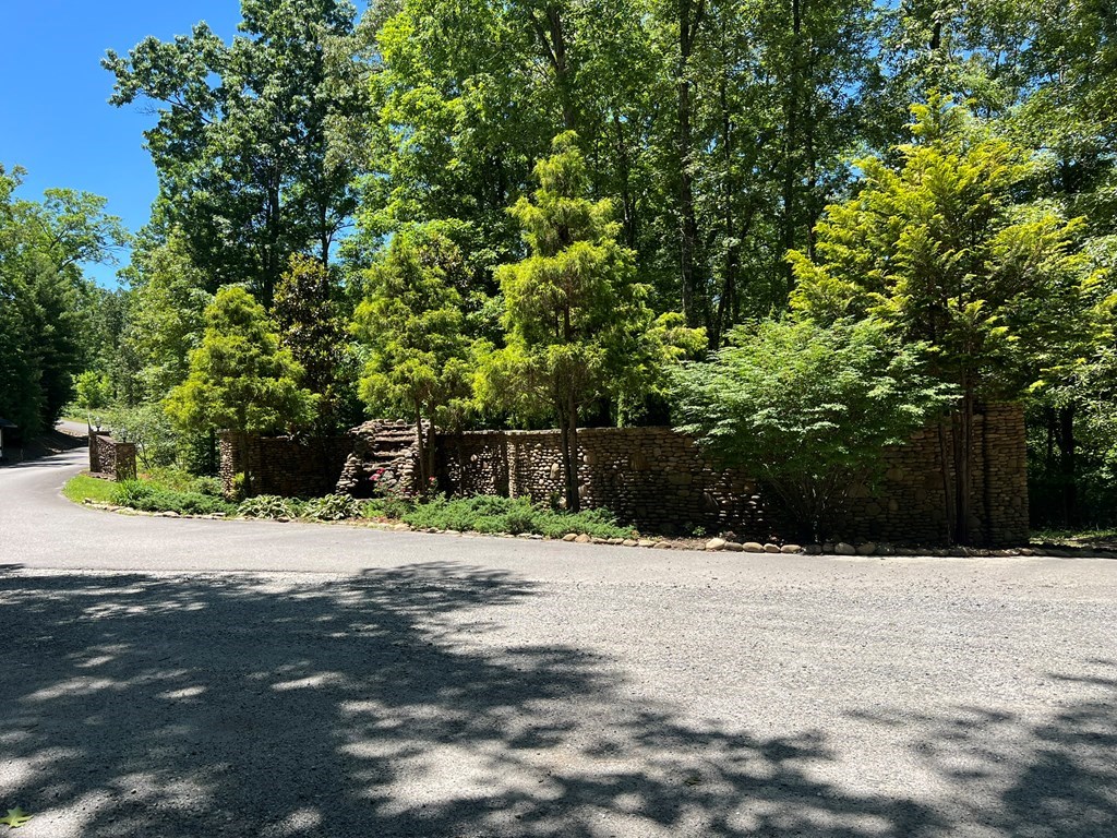 0 Paw Paw Trail Murphy, NC 28906 - Photo 3 of 8 a street view covered with snow