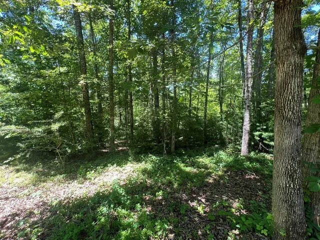 a view of outdoor space and trees