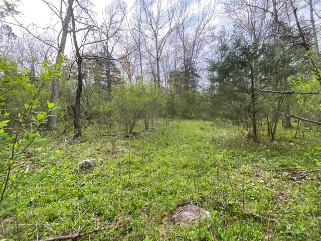 $59,000 | Tbd Melzoni Drive, Unit TRACT 5, Pennington Gap, VA 24277