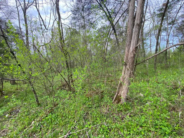 $59,000 | Tbd Melzoni Drive, Unit TRACT 5, Pennington Gap, VA 24277