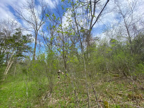 $59,000 | Tbd Melzoni Drive, Unit TRACT 5, Pennington Gap, VA 24277
