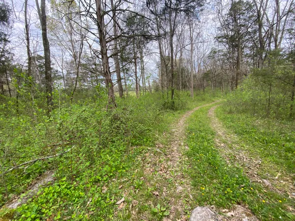 $59,000 | Tbd Melzoni Drive, Unit TRACT 5, Pennington Gap, VA 24277