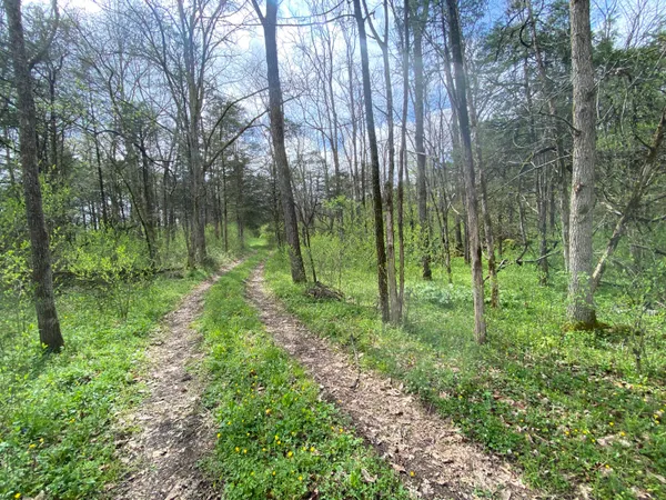 $59,000 | Tbd Melzoni Drive, Unit TRACT 5, Pennington Gap, VA 24277