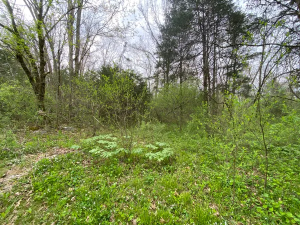 $59,000 | Tbd Melzoni Drive, Unit TRACT 5, Pennington Gap, VA 24277