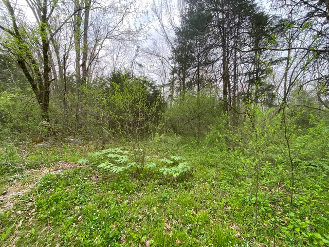 $59,000 | Tbd Melzoni Drive, Unit TRACT 5, Pennington Gap, VA 24277