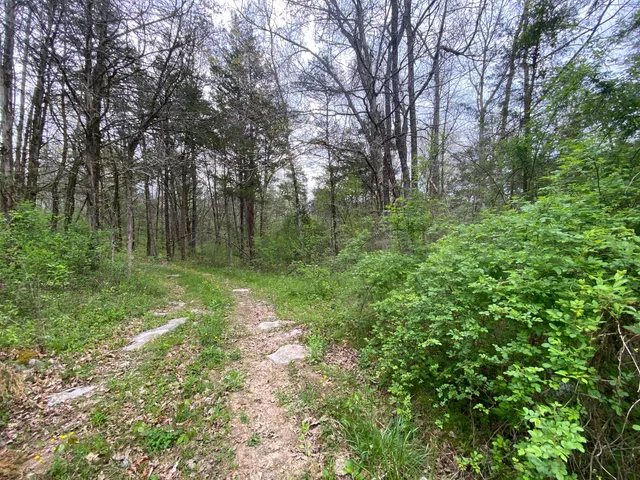 $59,000 | Tbd Melzoni Drive, Unit TRACT 5, Pennington Gap, VA 24277