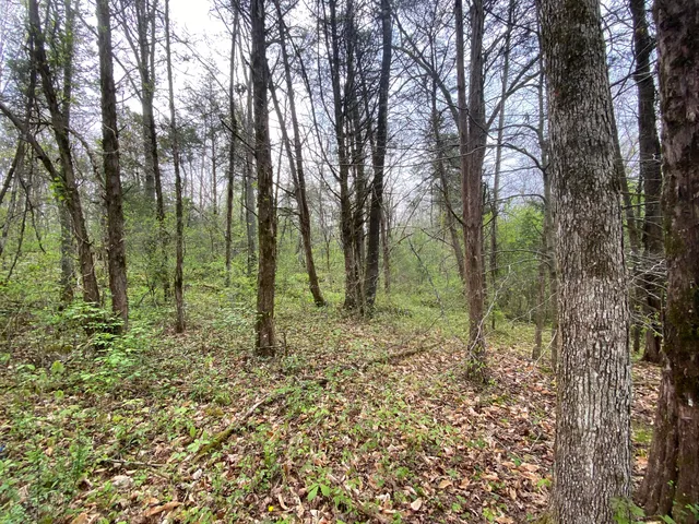 $59,000 | Tbd Melzoni Drive, Unit TRACT 5, Pennington Gap, VA 24277