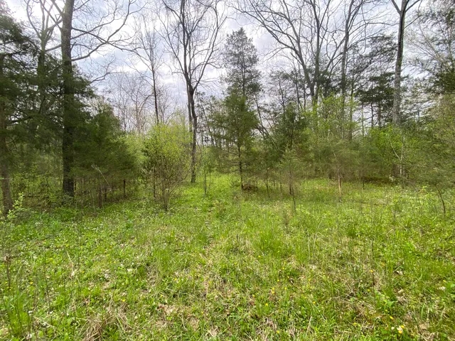 $59,000 | Tbd Melzoni Drive, Unit TRACT 5, Pennington Gap, VA 24277