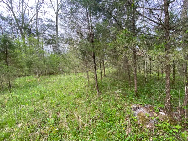 $59,000 | Tbd Melzoni Drive, Unit TRACT 5, Pennington Gap, VA 24277