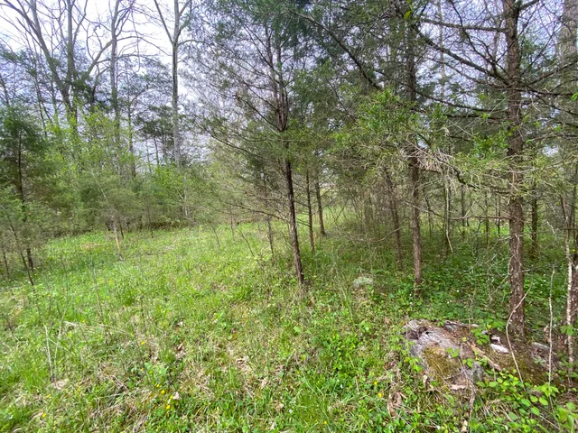 $59,000 | Tbd Melzoni Drive, Unit TRACT 5, Pennington Gap, VA 24277