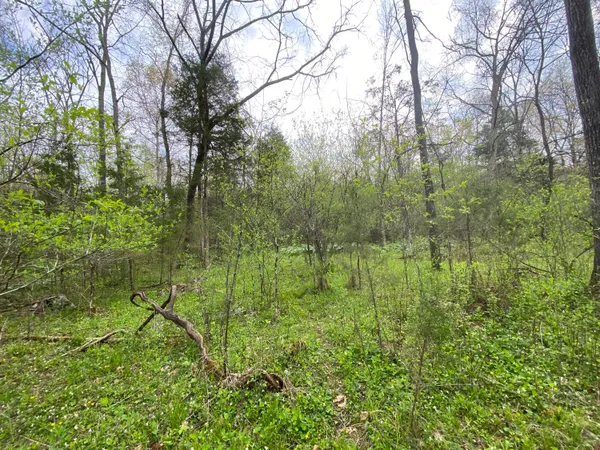 $59,000 | Tbd Melzoni Drive, Unit TRACT 5, Pennington Gap, VA 24277