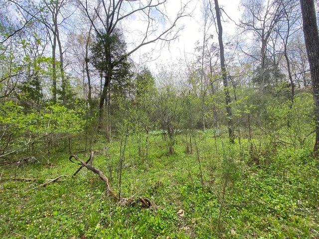 $59,000 | Tbd Melzoni Drive, Unit TRACT 5, Pennington Gap, VA 24277