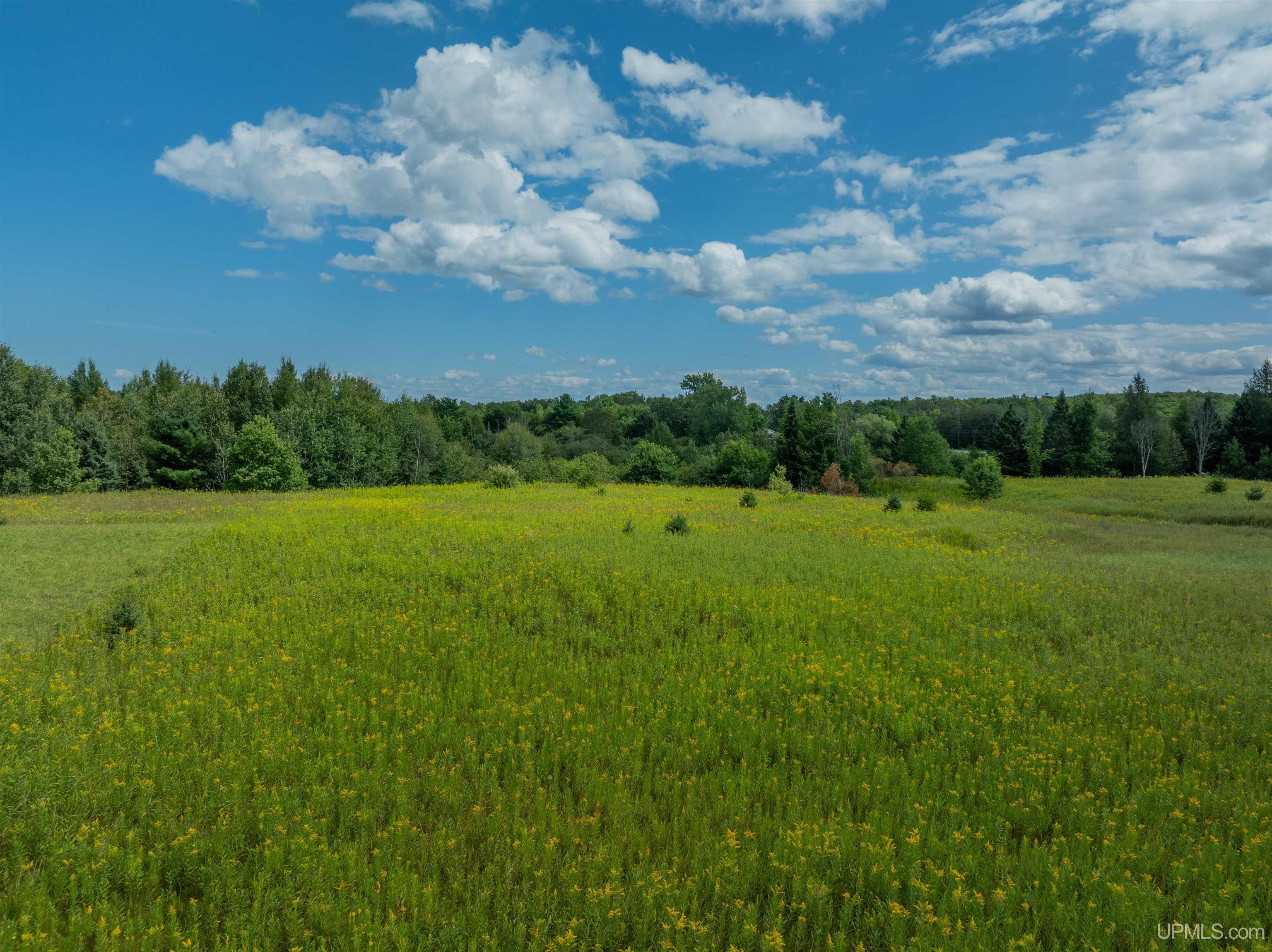 N5552 Jarvinen Road Eben Junction, MI 49825 - Photo 42 of 55 Gallery Image 42