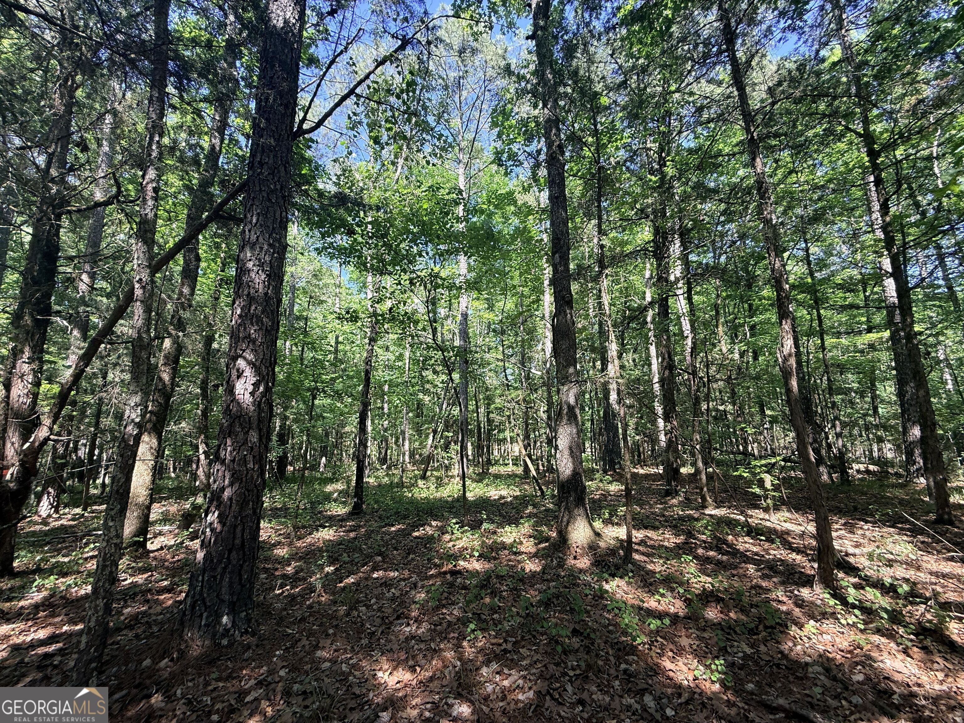 580 Saggus Road Washington, GA 30673 - Photo 25 of 54