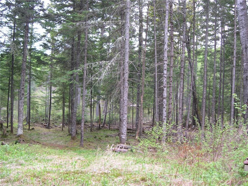 90 Hernborg Road Rangeley, ME 04970 - Photo 12 of 12 land