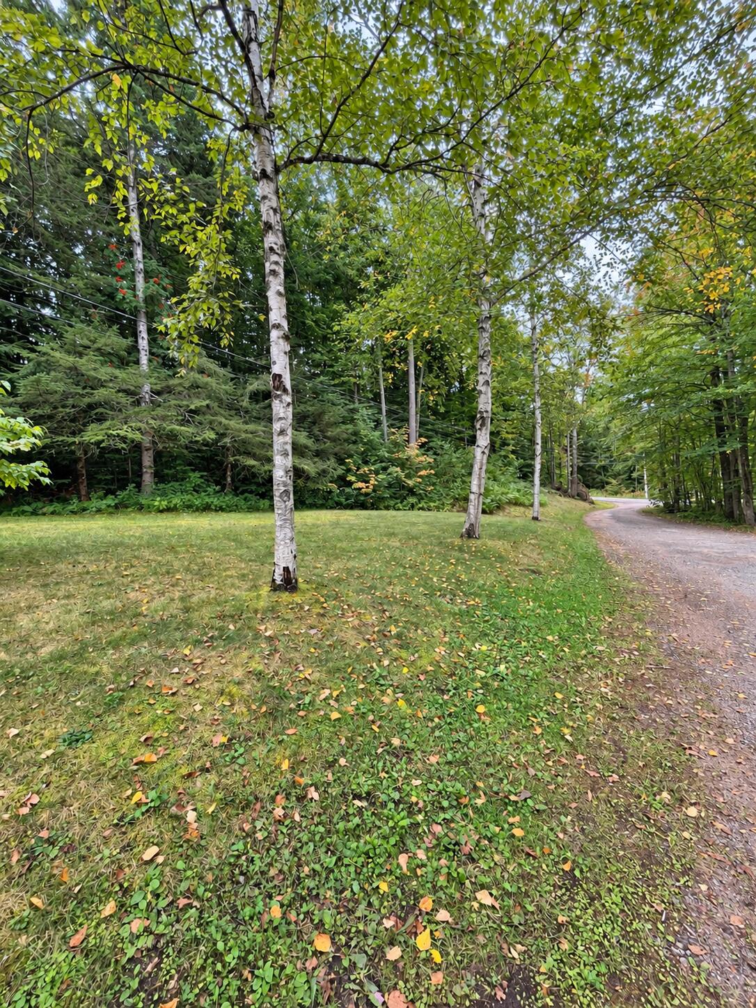 127 Lake Road Star Lake, NY 13690 - Photo 4 of 31 Gallery Image 4