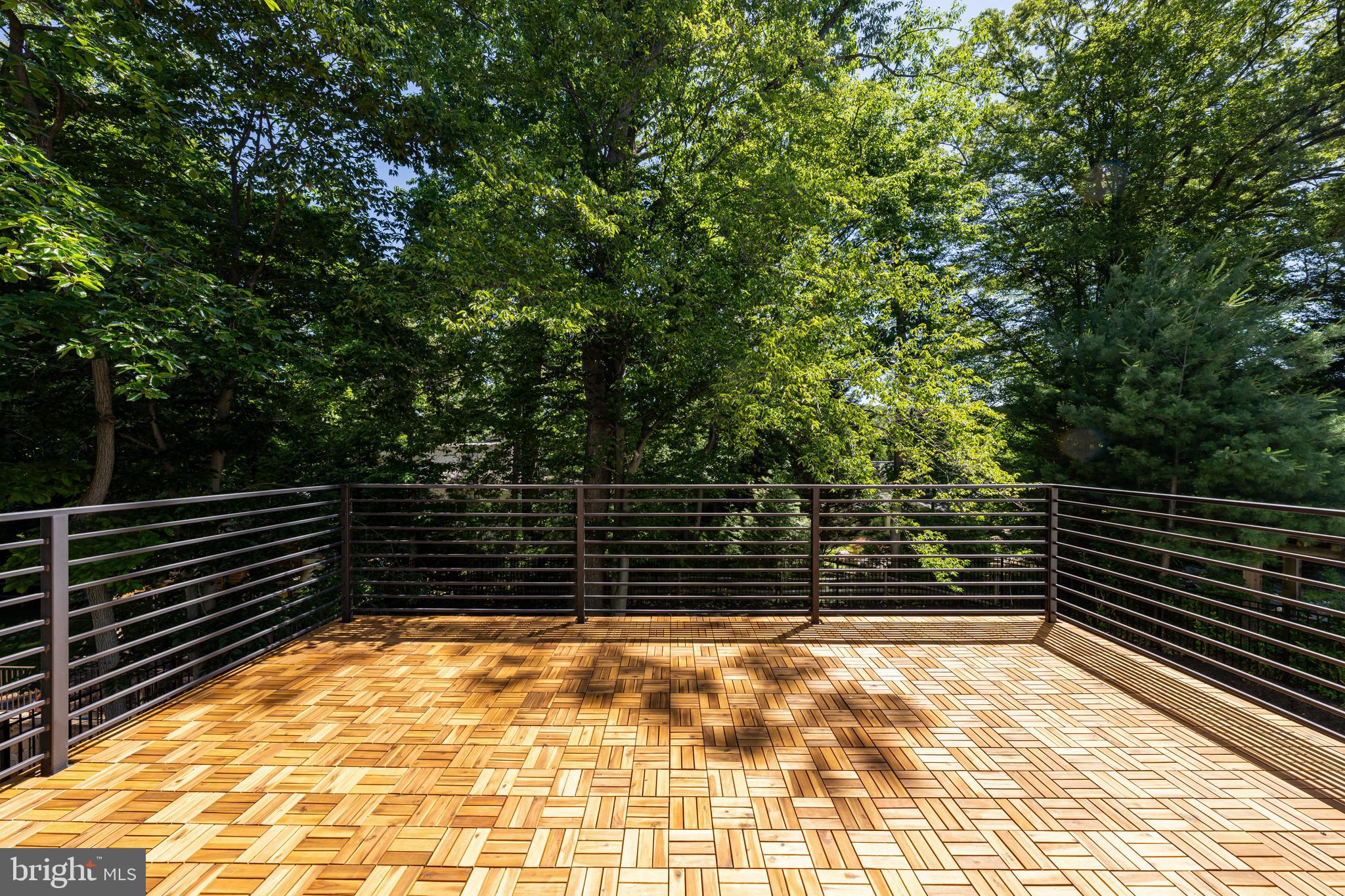 3830 30th Road North Arlington, VA 22207 - Photo 54 of 87 Balcony
