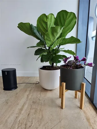 $17,000 | 1000 Brickell Plaza, Unit PH5503, Miami, FL 33131