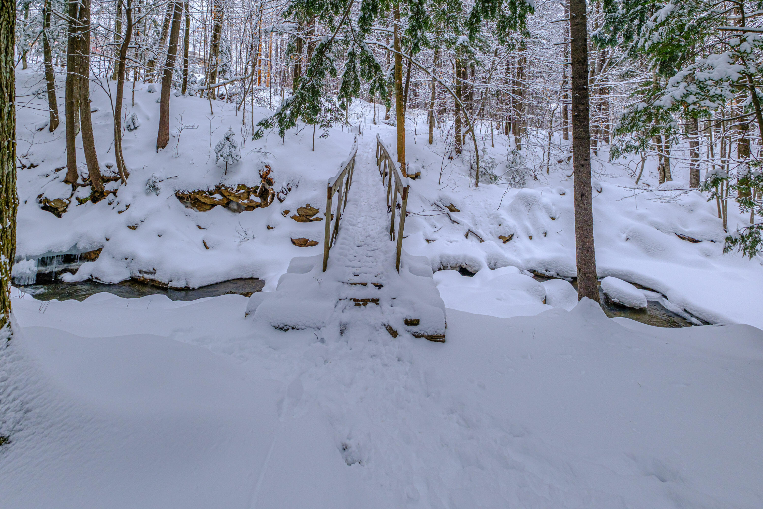 45 Viking Village Road Newry, ME 04261 - Photo 53 of 65