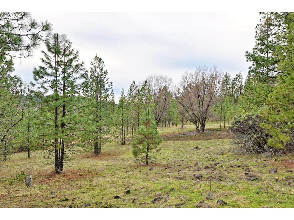 2526 Cobleigh Road Eagle Point, OR 97524 - Photo 15 of 28 Gallery Image 15