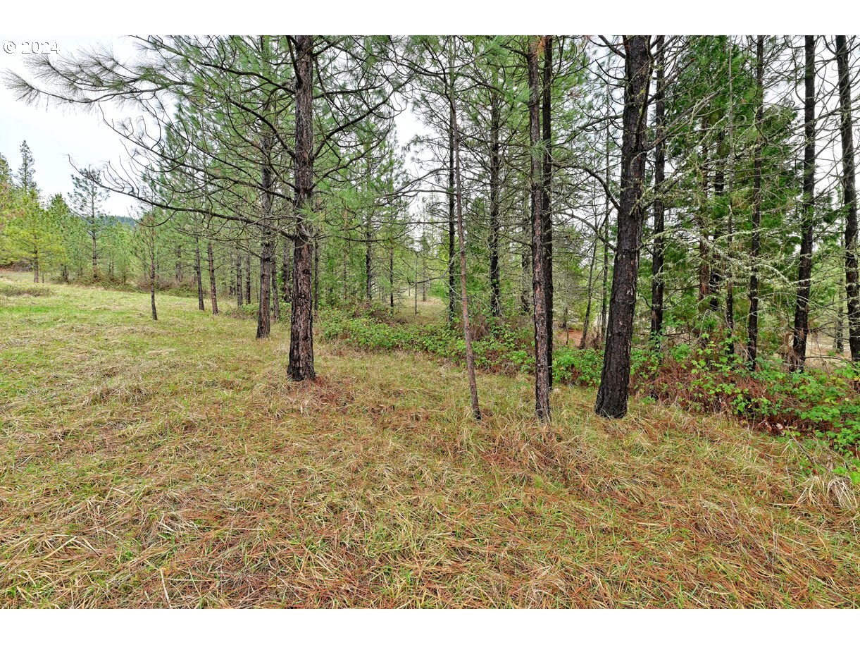 2526 Cobleigh Road Eagle Point, OR 97524 - Photo 19 of 28 Gallery Image 19