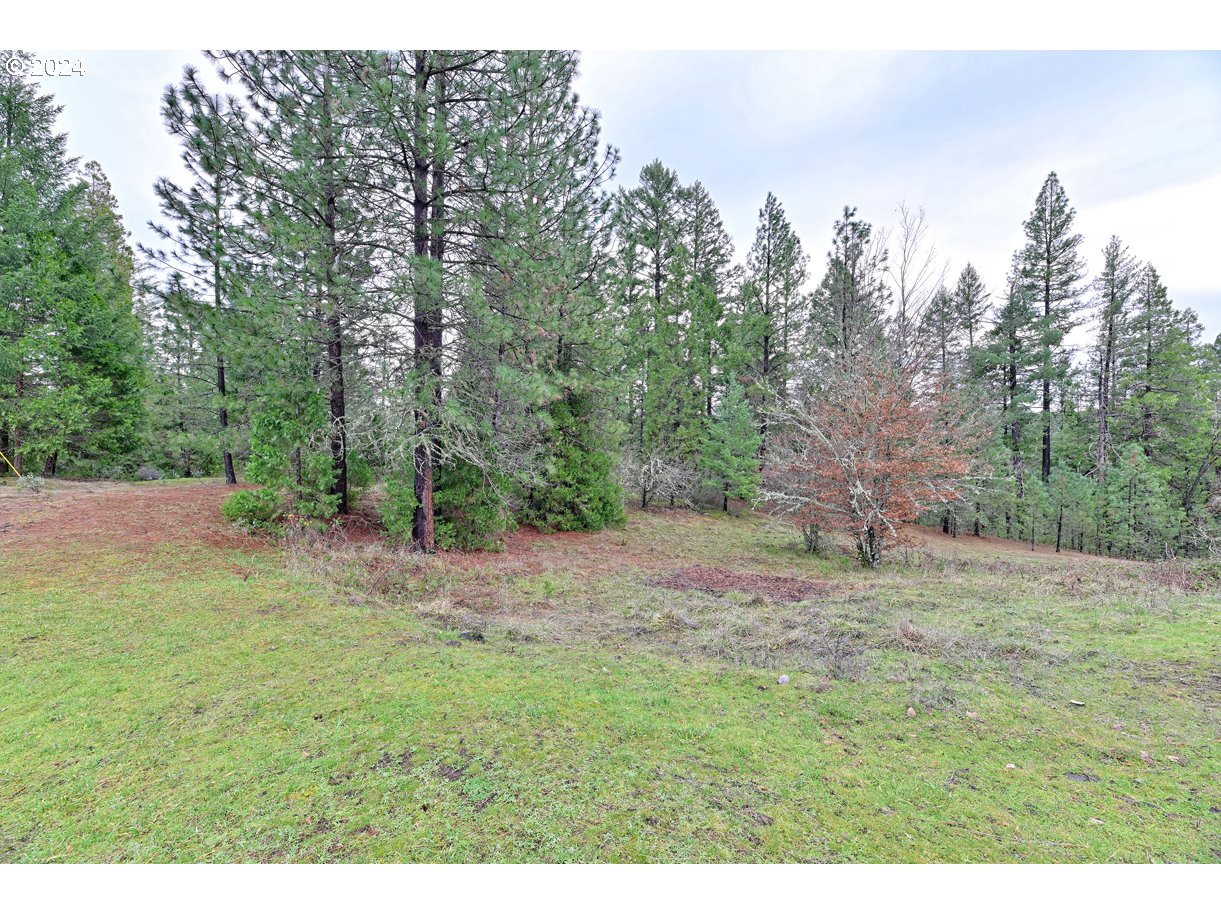 2526 Cobleigh Road Eagle Point, OR 97524 - Photo 9 of 28 Gallery Image 9