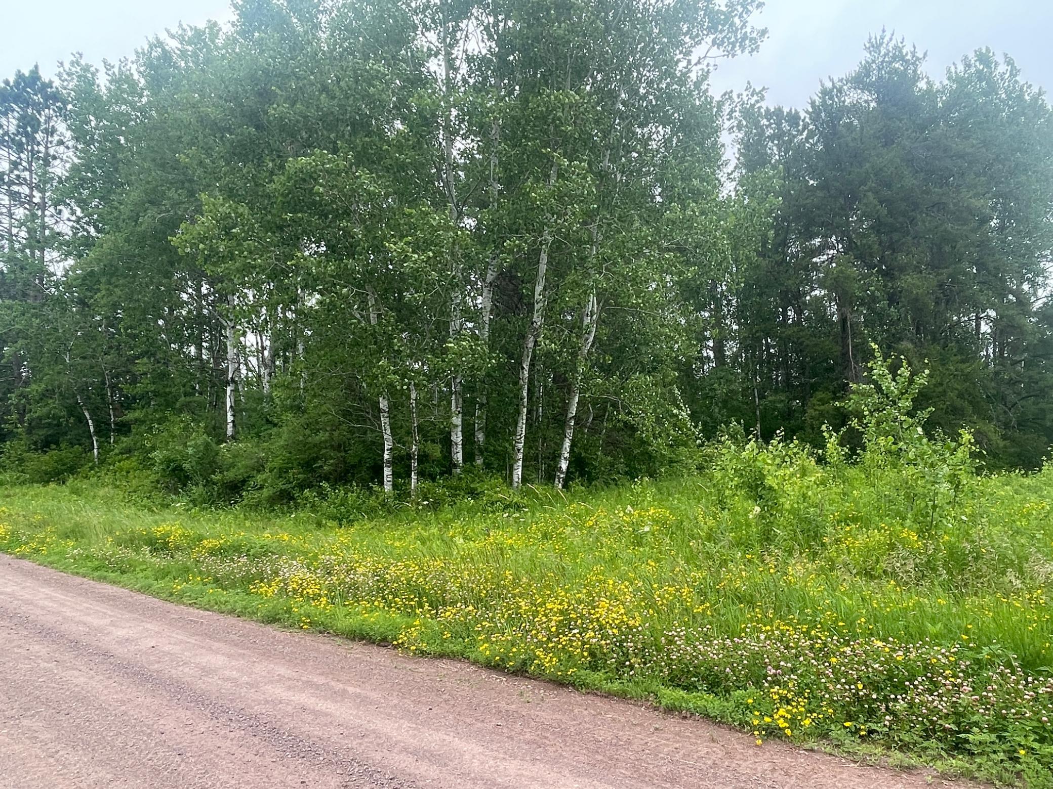 Tbd Degerstrom Road Askov, MN 55704 - Photo 6 of 7