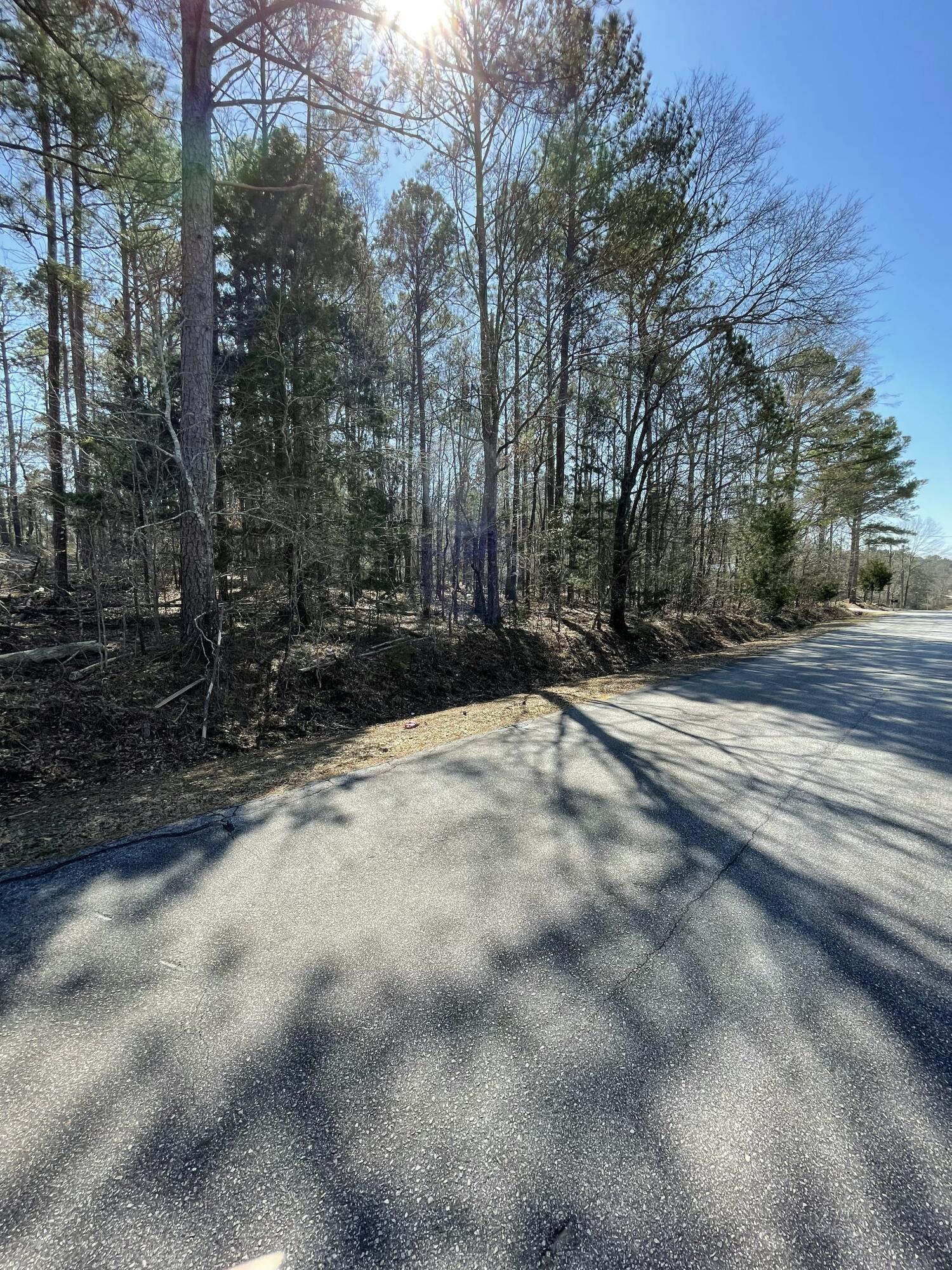 0 Westside Drive McCormick, SC 29835 - Photo 4 of 10