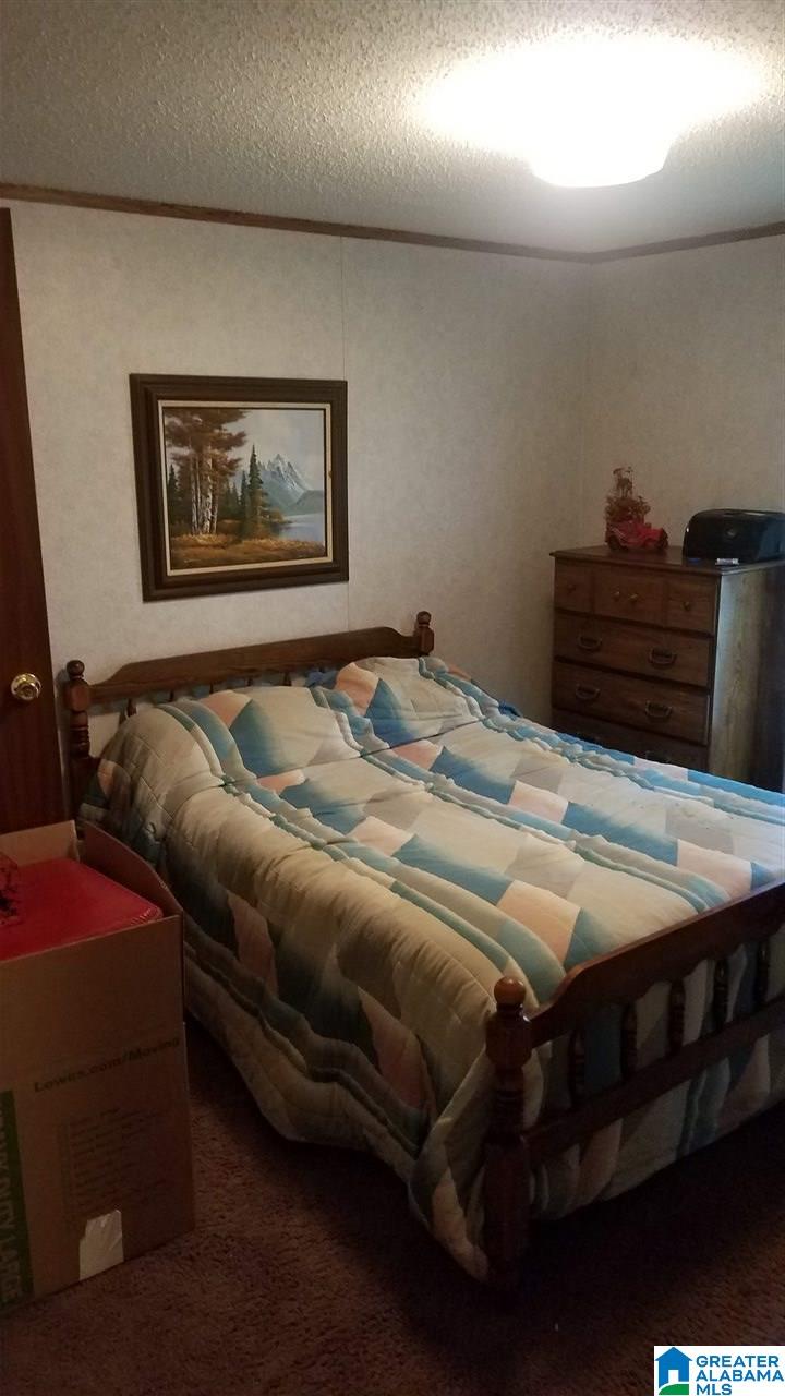 127 Young Road Remlap, AL 35133 - Photo 21 of 25