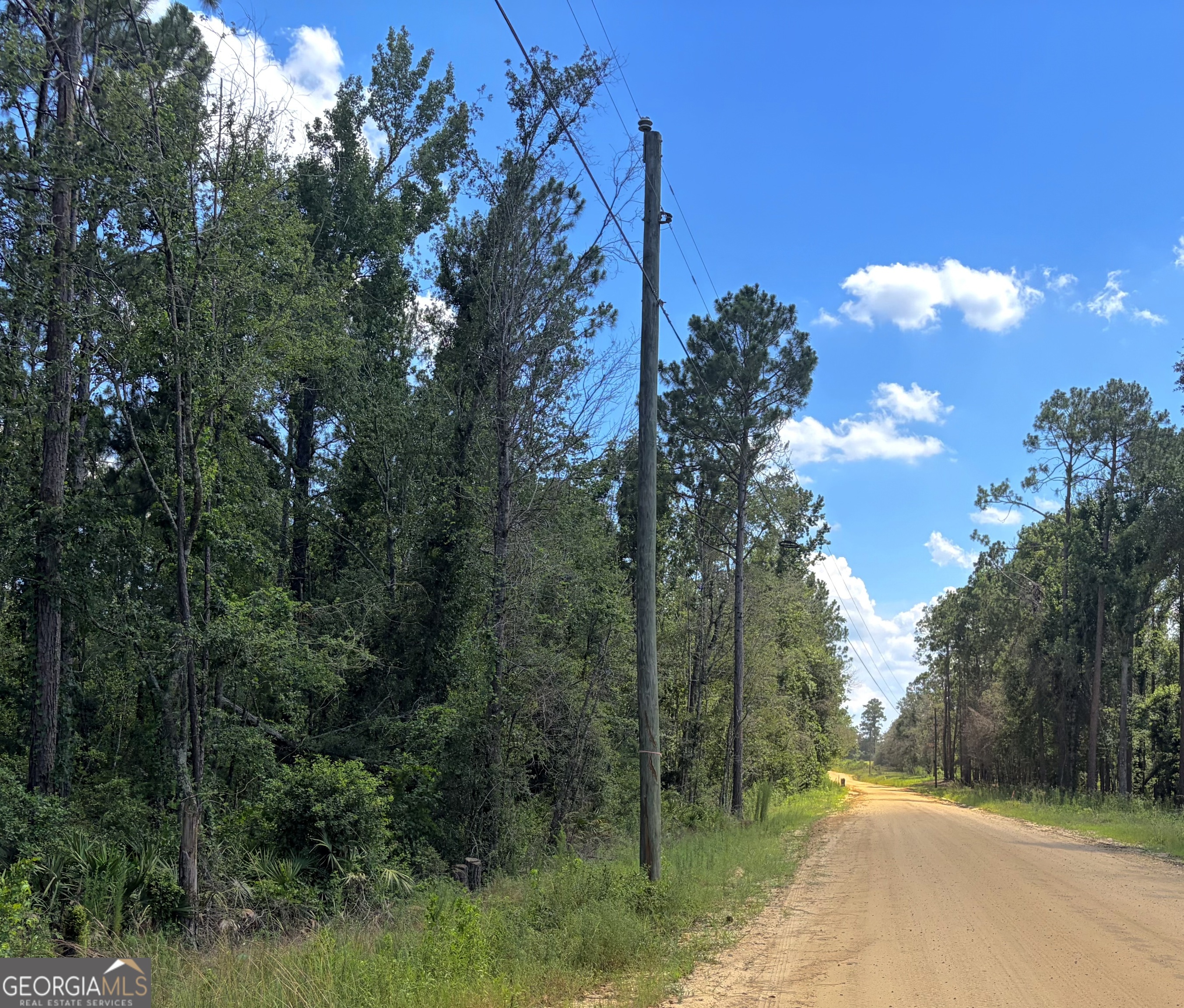 0 Ernest Carter Road Hazlehurst, GA 31539 - Photo 3 of 17 Gallery Image 3