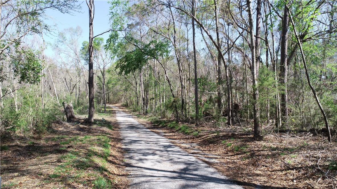 Barnett Road Independence, LA 70443 - Photo 1 of 9