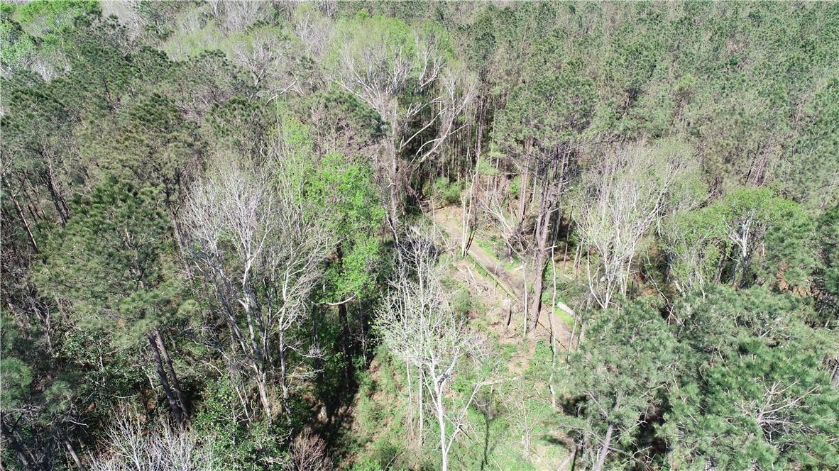 Barnett Road Independence, LA 70443 - Photo 2 of 9