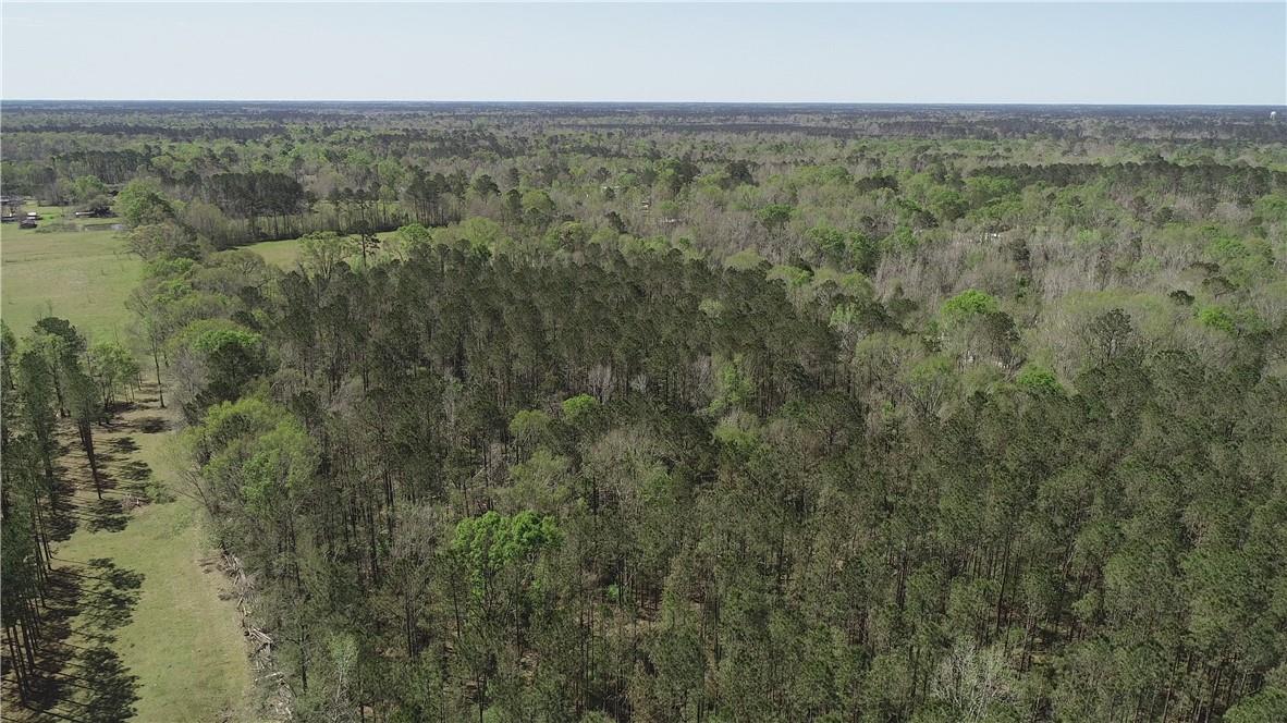 Barnett Road Independence, LA 70443 - Photo 3 of 9