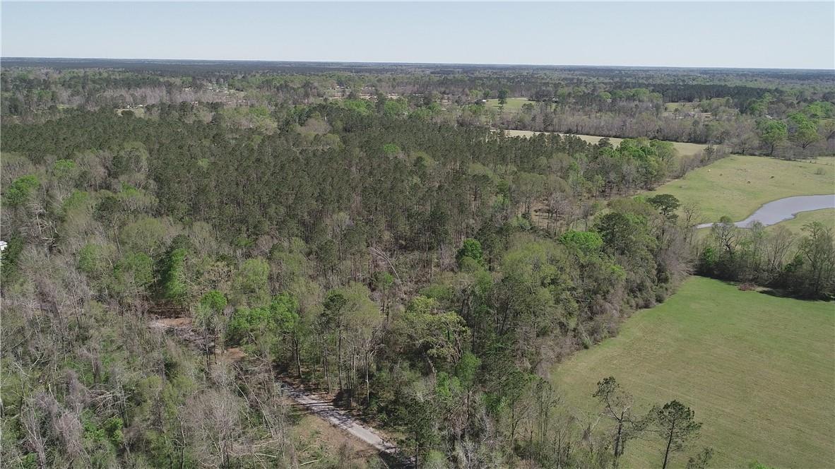 Barnett Road Independence, LA 70443 - Photo 4 of 9