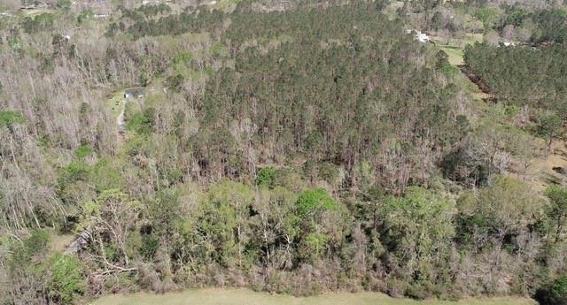 Barnett Road Independence, LA 70443 - Photo 6 of 9