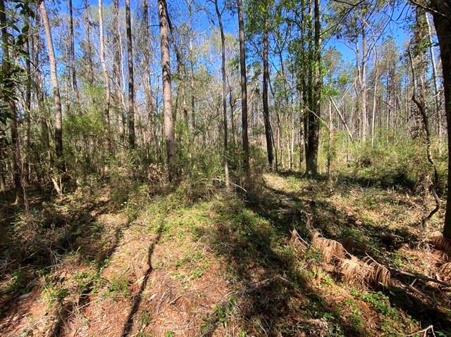 Barnett Road Independence, LA 70443 - Photo 8 of 9