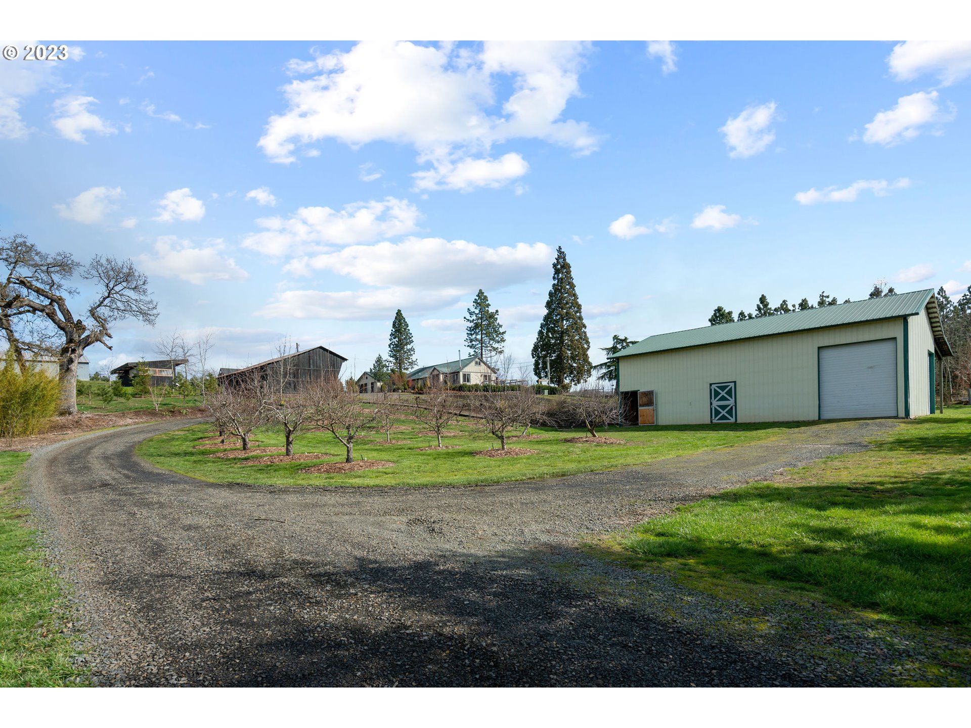 9953 South Wildcat Road Molalla, OR 97038 - Photo 28 of 41 a view of backyard of the house