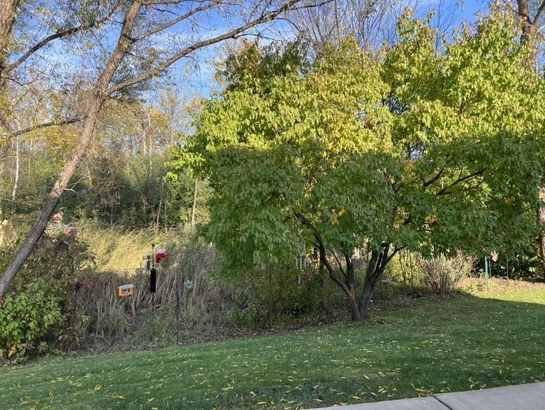 15739 Farnham Avenue North Hugo, MN 55038 - Photo 36 of 50