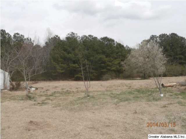 4238 Nauvoo Road Nauvoo, AL 35578 - Photo 25 of 28