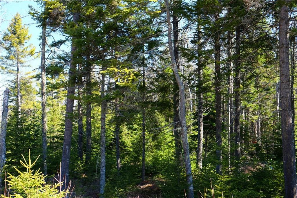 11 Bass Harbor Woods Road Bass Harbor, ME 04653 - Photo 7 of 8 Photo