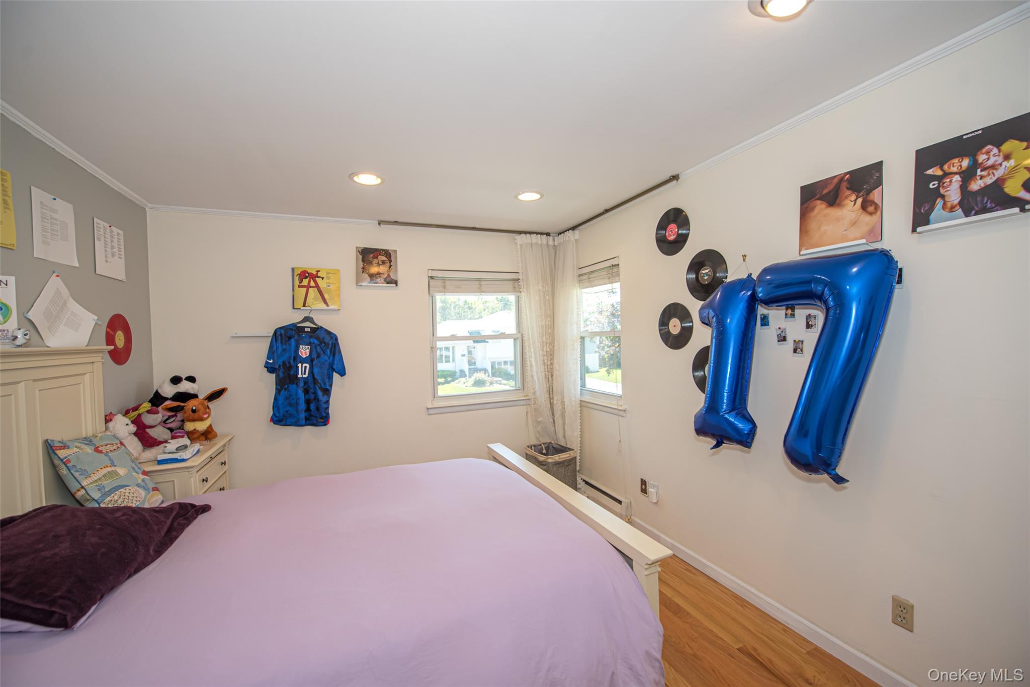 36 Middle Lane Jericho, NY 11753 - Photo 10 of 20