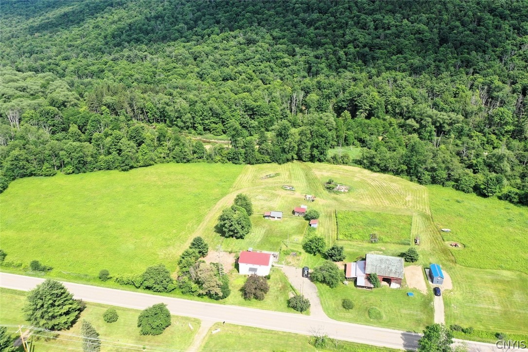 5430 Meads Creek Road Campbell, NY 14870 - Photo 3 of 48