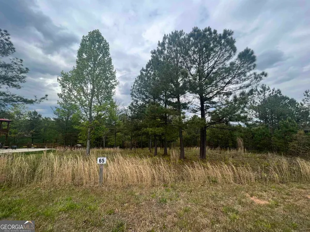 $54,900 | Lot 65 Village Loop, Blairsville, GA 30512