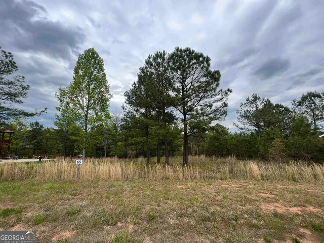 $54,900 | Lot 65 Village Loop, Blairsville, GA 30512