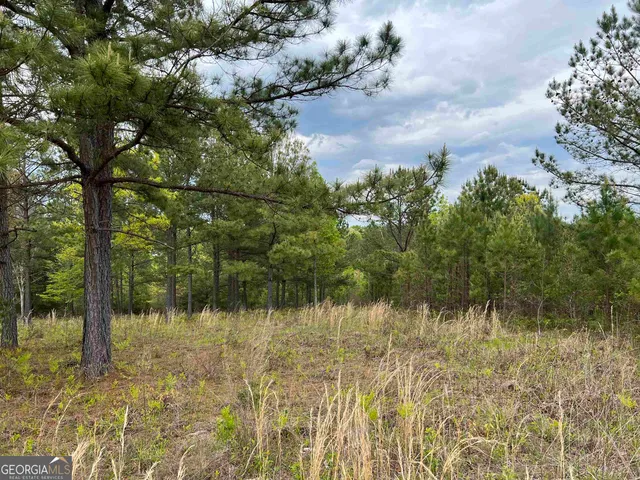 $54,900 | Lot 65 Village Loop, Blairsville, GA 30512