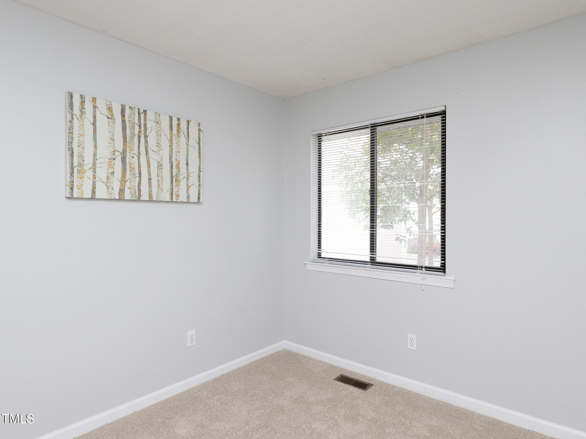 7353 Sandy Creek Drive Raleigh, NC 27615 - Photo 10 of 13 an empty room with windows