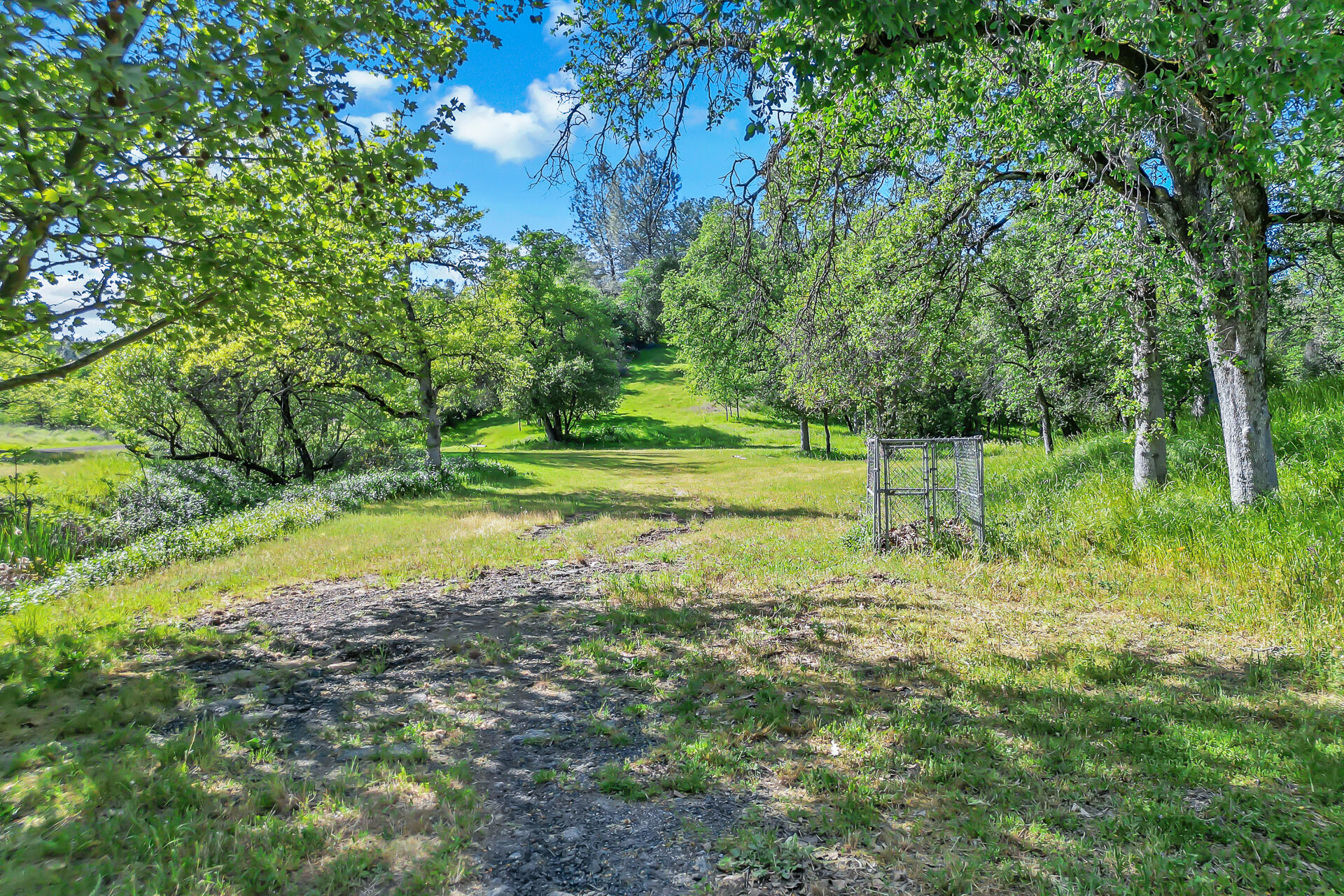 2350 Puma Trail Redding, CA 96001 - Photo 41 of 42 2350PumaTrail-30